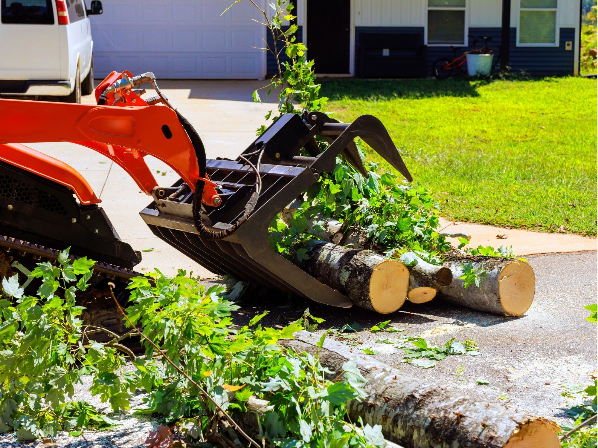 Loader clearing tree debris